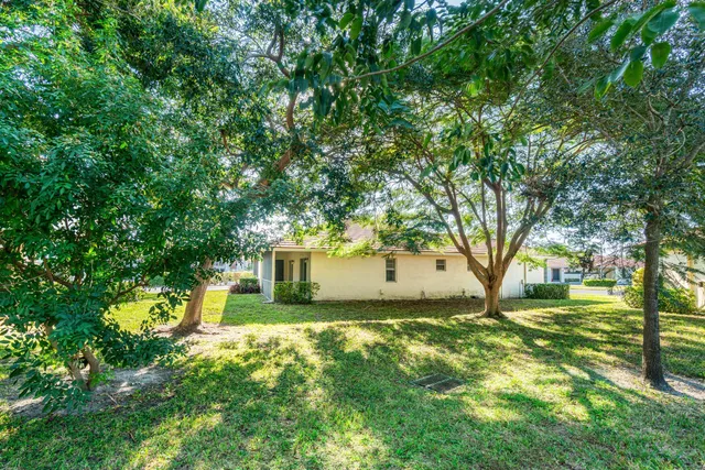 a view of a yard with plants and large trees