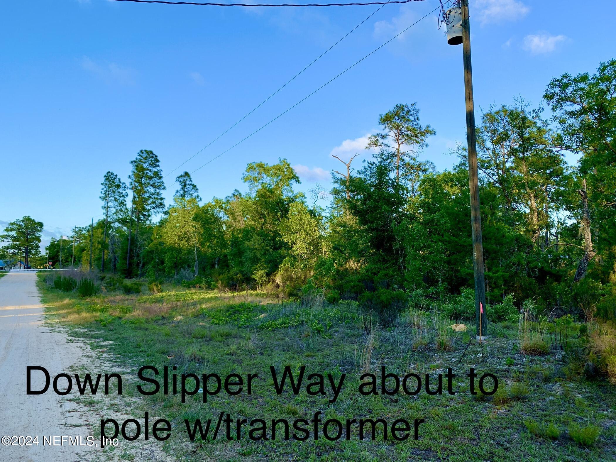 0 Whirlwind Loop Hawthorne, FL 32640 - Photo 16 of 19 IMG_5130