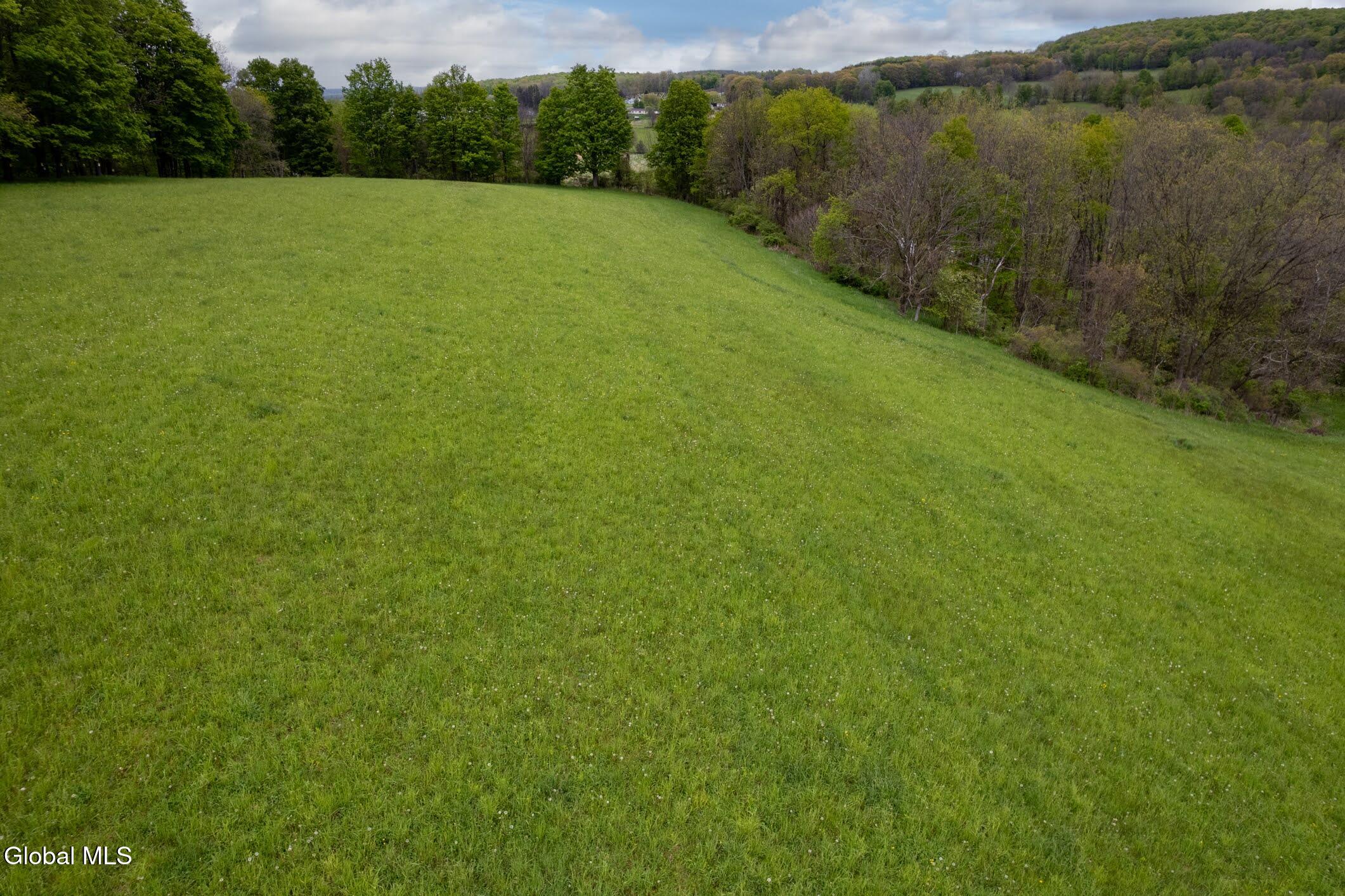 229 Scofield Road Sharon Springs, NY 13459 - Photo 13 of 17 10-229 Scofield