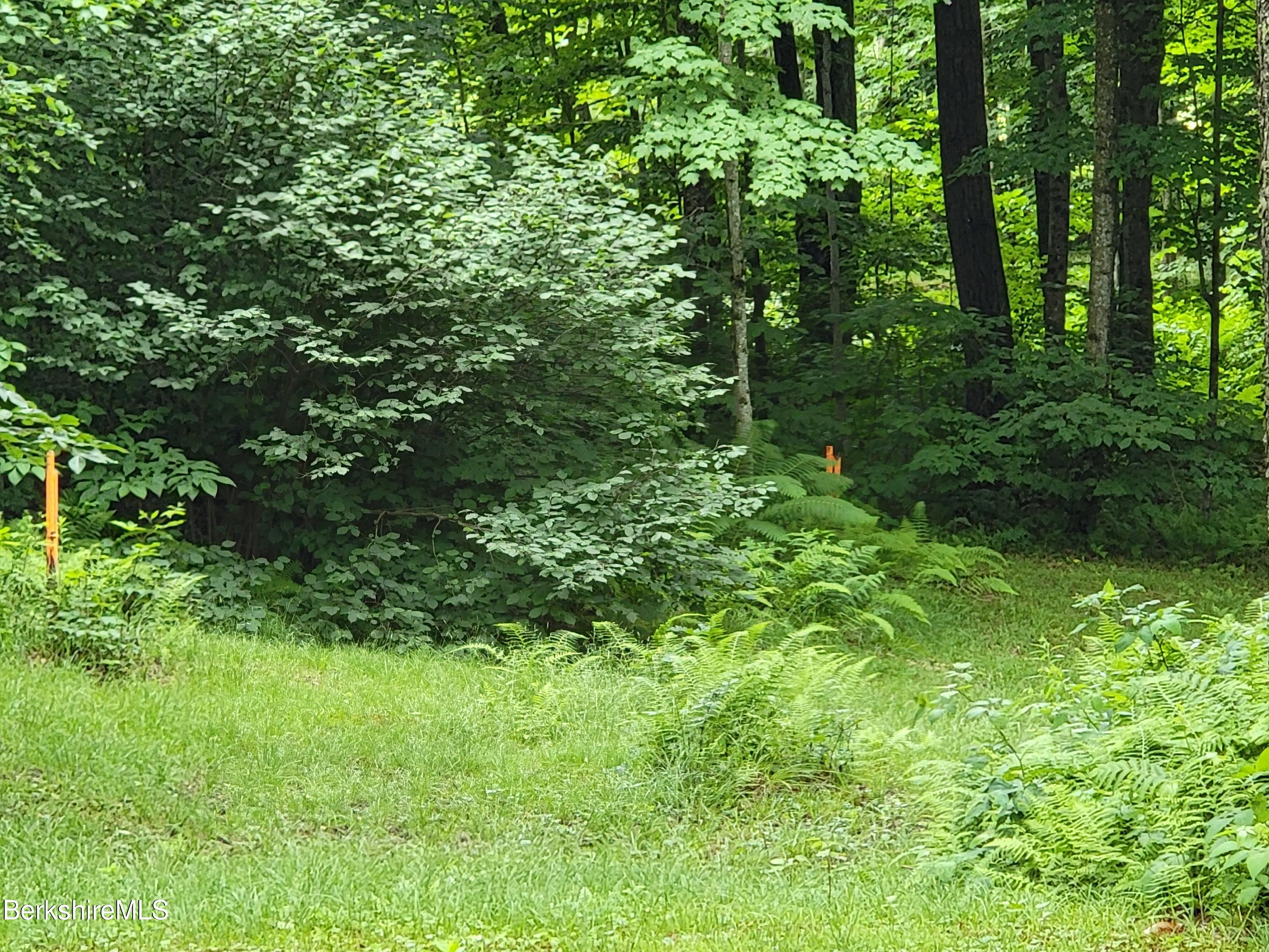 Lot #6 Risky Ranch Road Stamford, VT 05352 - Photo 4 of 14 a view of a lush green forest