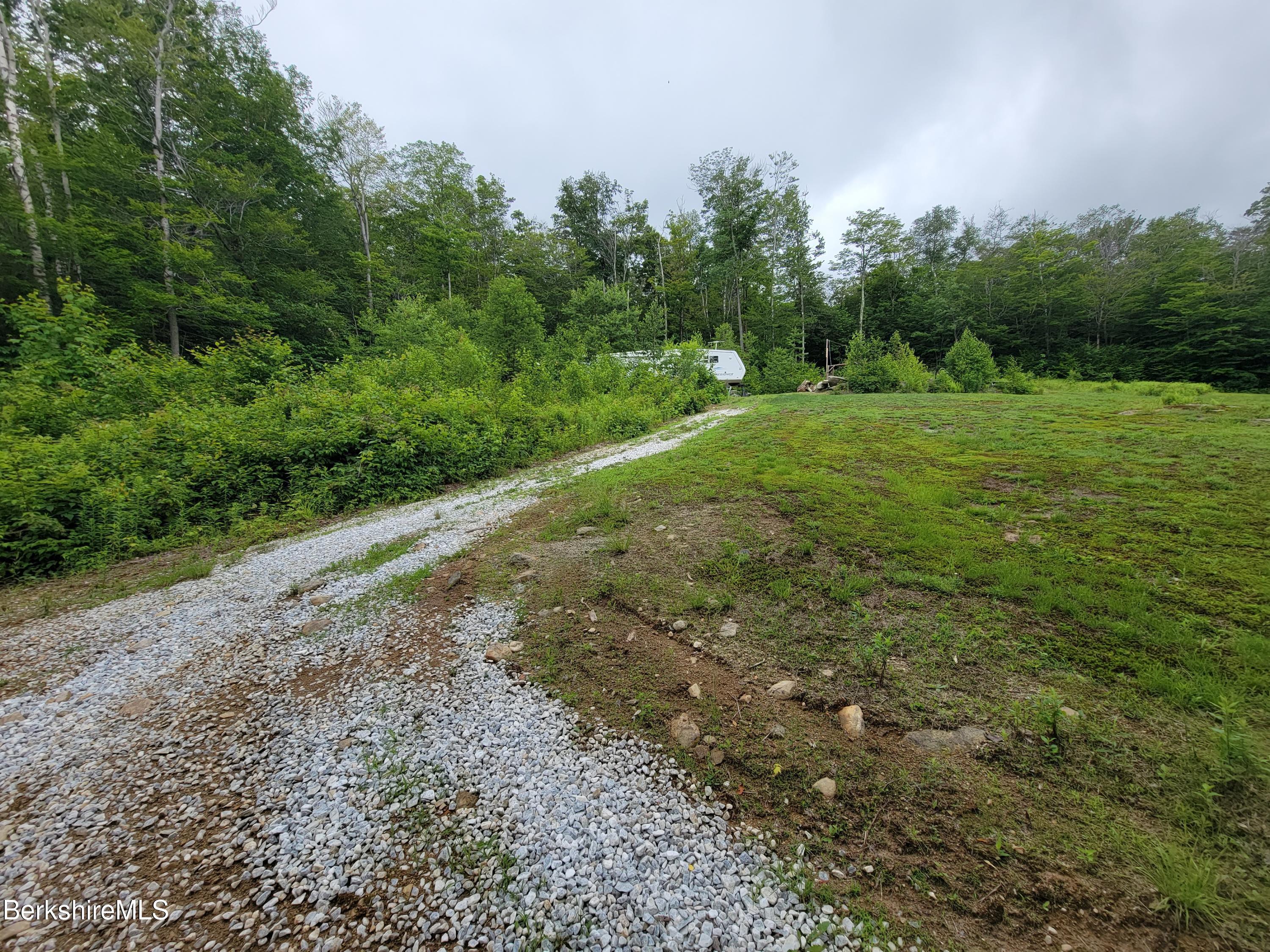 Lot #6 Risky Ranch Road Stamford, VT 05352 - Photo 8 of 14 a view of a field with plants and trees in the background