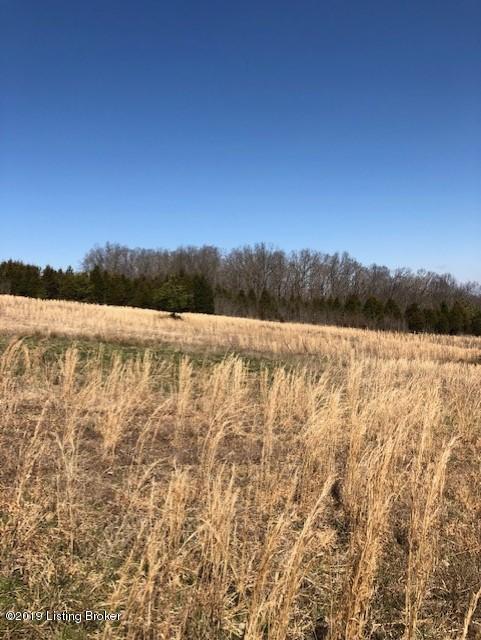 8460 Falls Of Rough Road Falls Of Rough, KY 40119 - Photo 1 of 4 Land