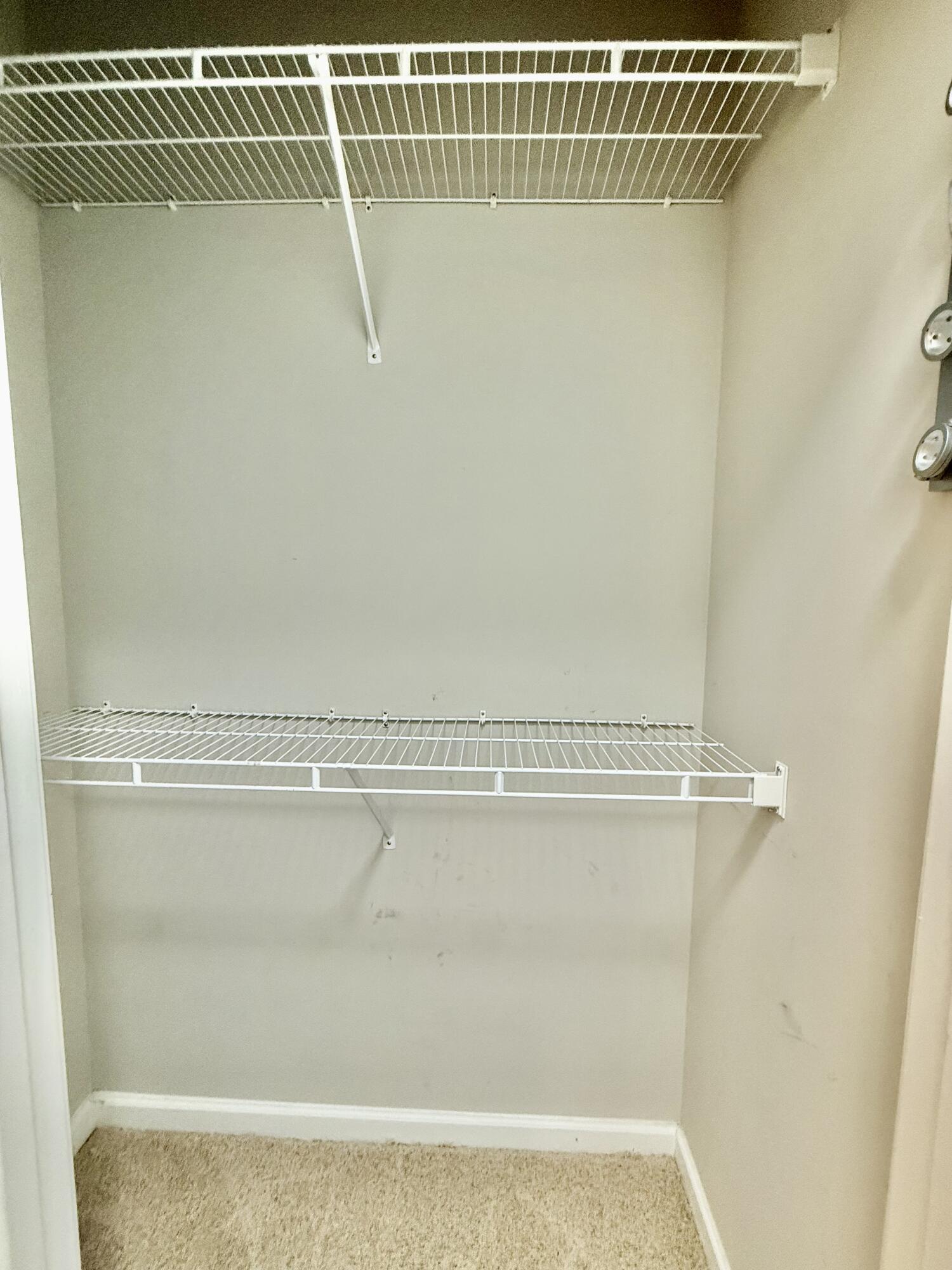 1755 Central Park Road, Unit 6306 Charleston, SC 29412 - Photo 8 of 20 closet