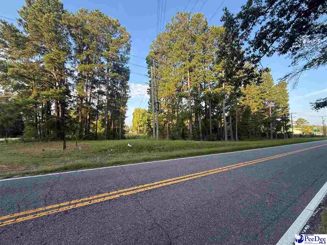 Lot 3 Hunts Mill Road Cheraw, SC 29520 - Photo 1 of 11 Gallery Image 1