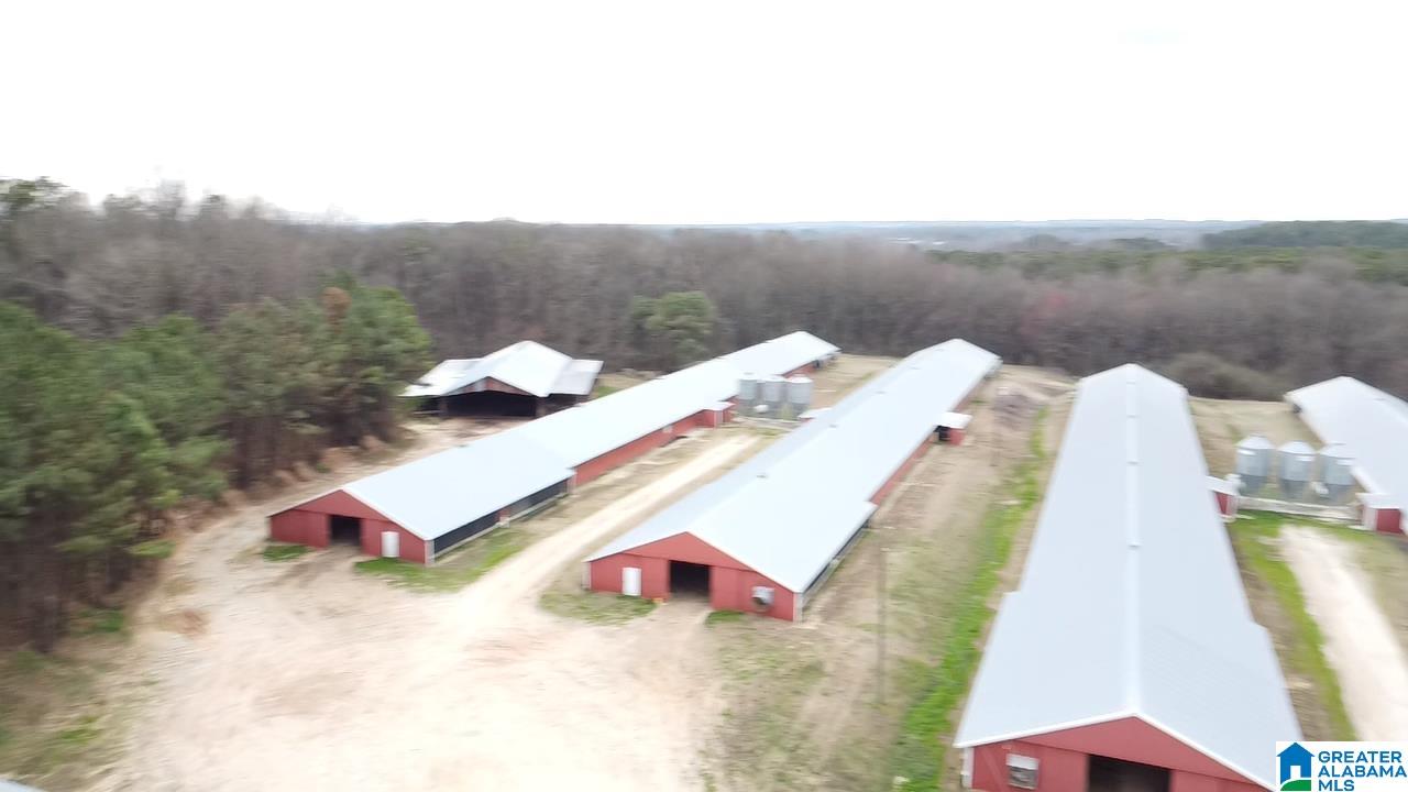 10171 County Road 87 Roanoke, AL 36274 - Photo 41 of 42