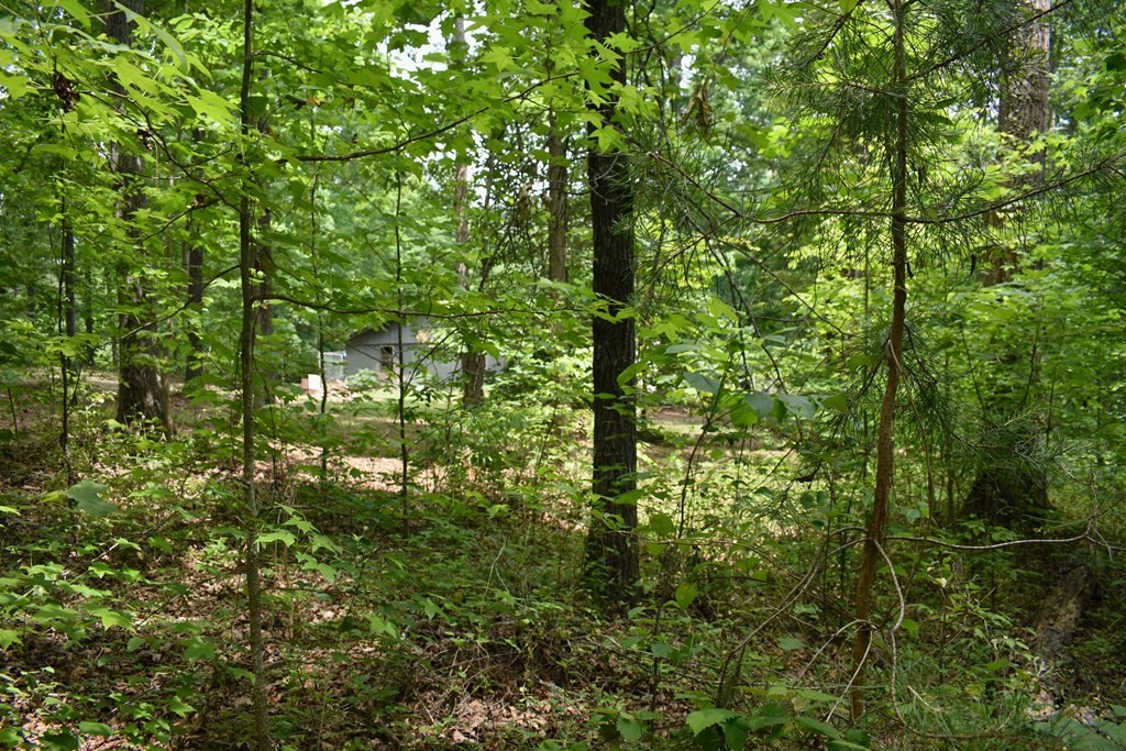 506 Sims Road Decatur, TN 37322 - Photo 27 of 42 Gallery Image 27