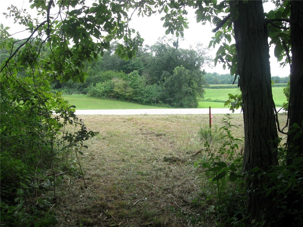 Peaceful Court Potomac, IL 61865 - Photo 1 of 2