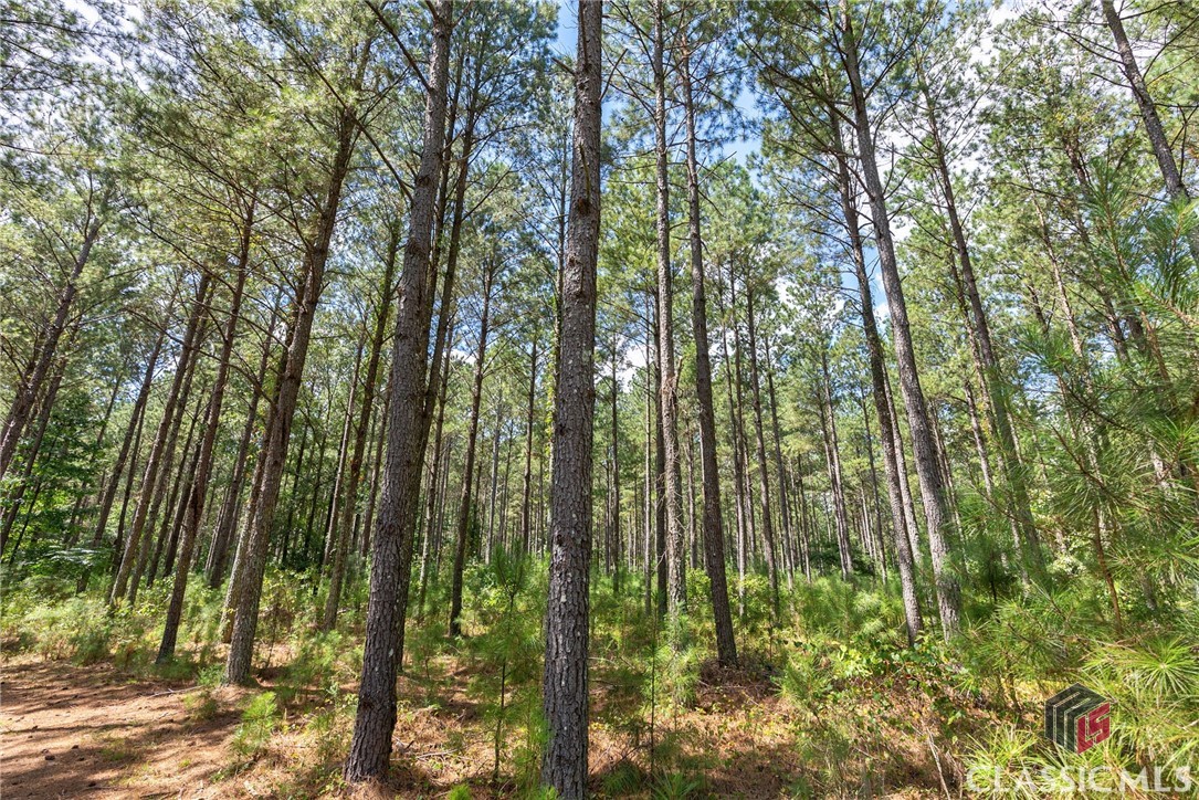0 Paradise Hogan Road Lexington, GA 30648 - Photo 18 of 38