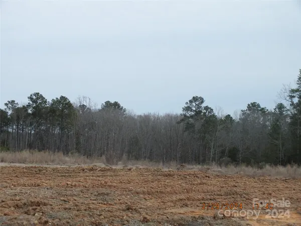 a view of a dry yard with trees
