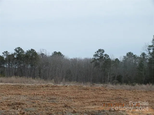 a view of a dry yard with trees