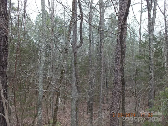a close view of a shower in a bathroom