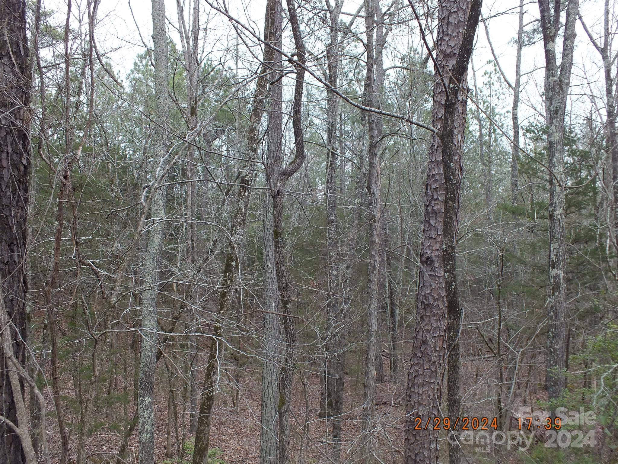 0 Craig Farm Road Lancaster, SC 29720 - Photo 4 of 13 a close view of a shower in a bathroom