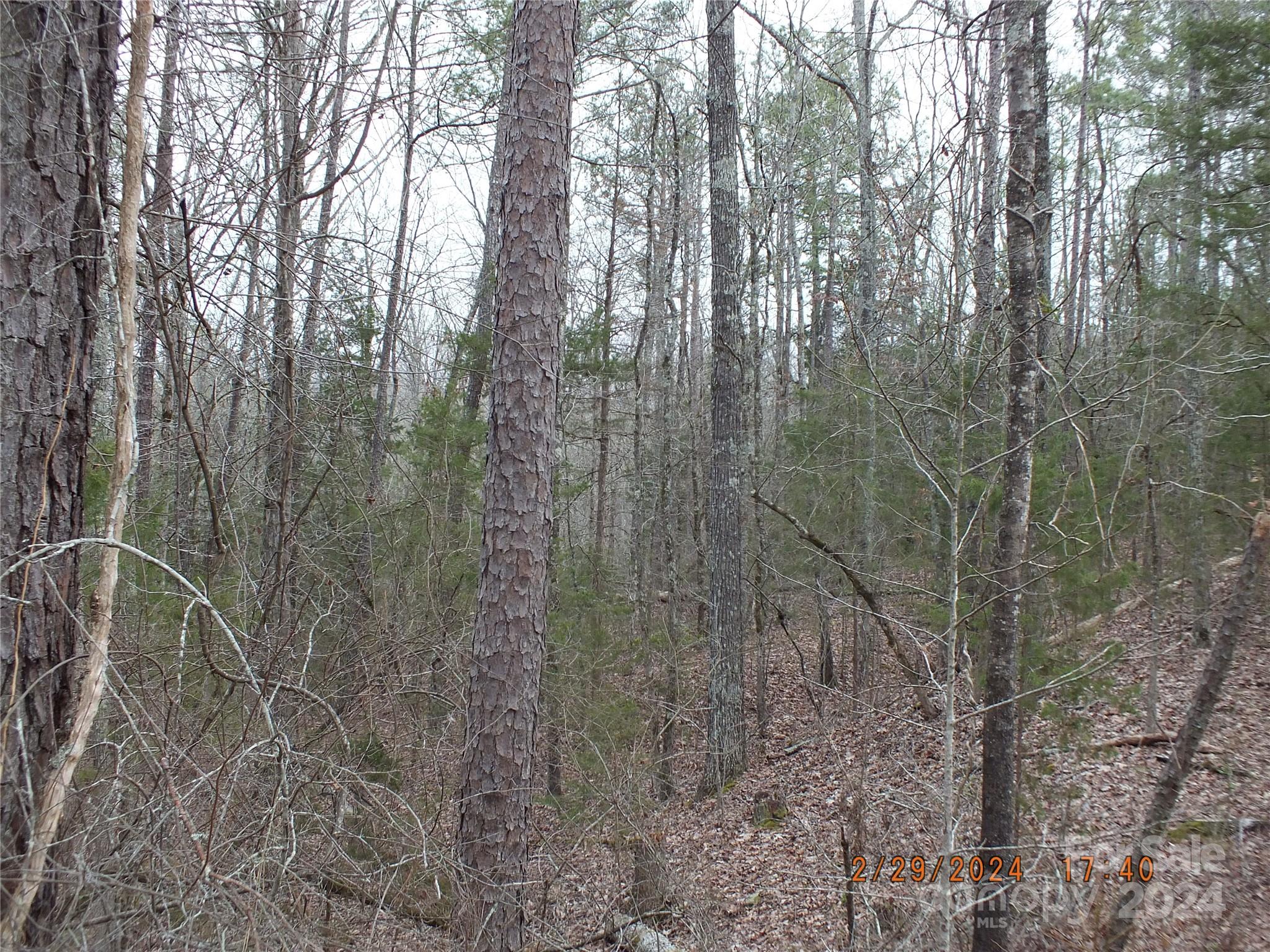 0 Craig Farm Road Lancaster, SC 29720 - Photo 5 of 13 a view of forest