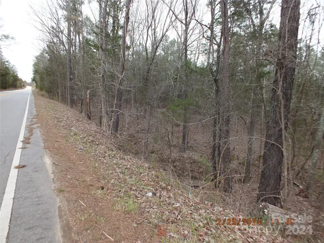 a view of a forest with trees in the background