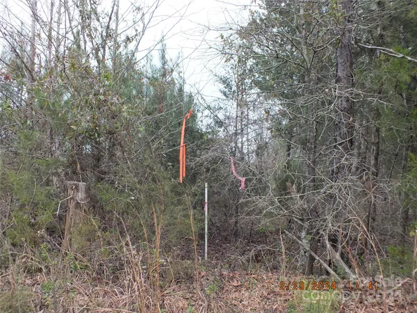 a backyard of a house with lots of green space and a lake view