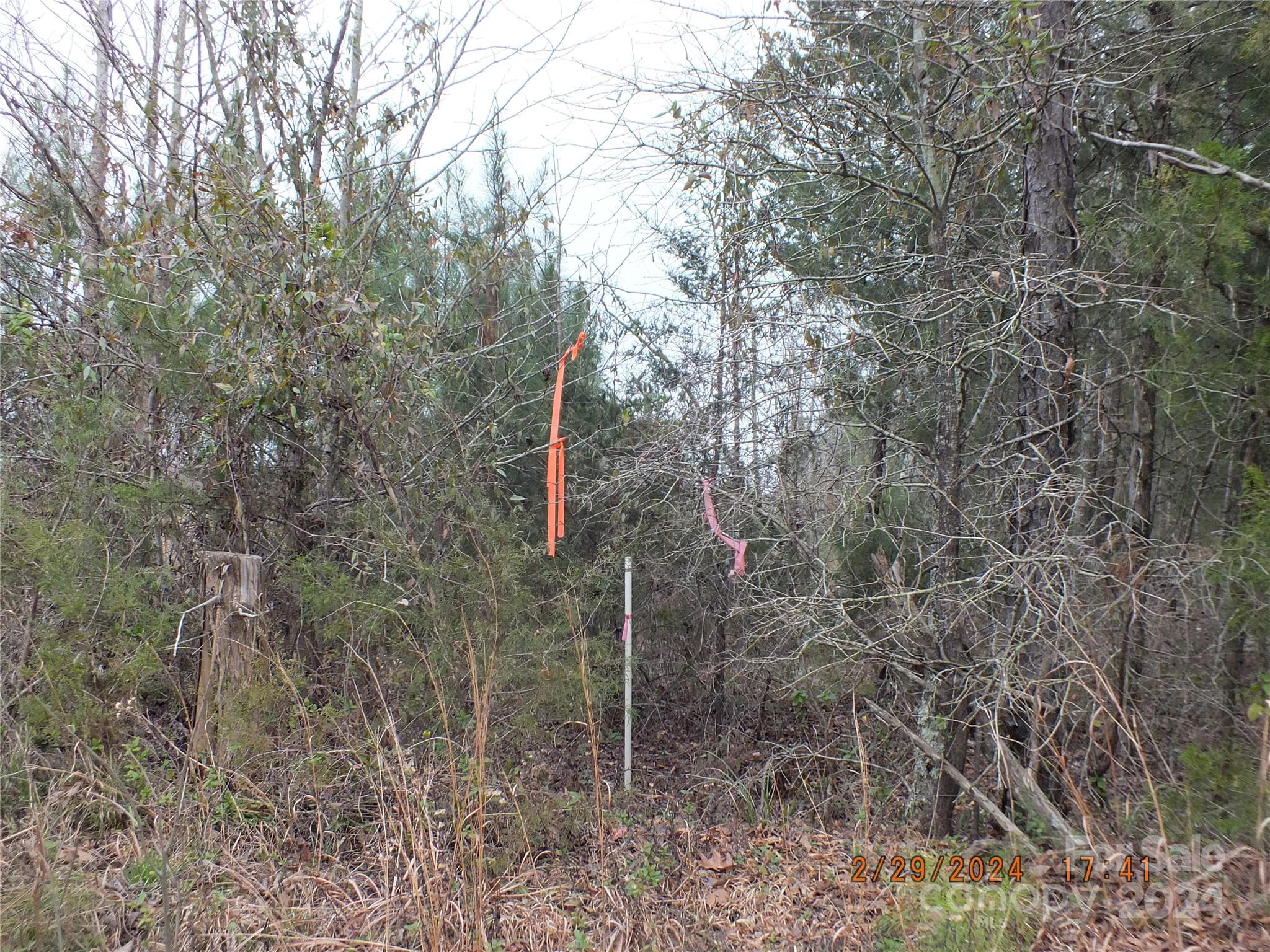 0 Craig Farm Road Lancaster, SC 29720 - Photo 7 of 13 a backyard of a house with lots of green space and a lake view