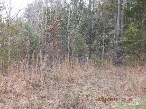 a view of a dry yard