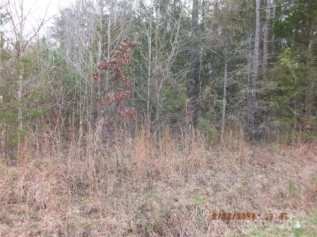 a view of a dry yard