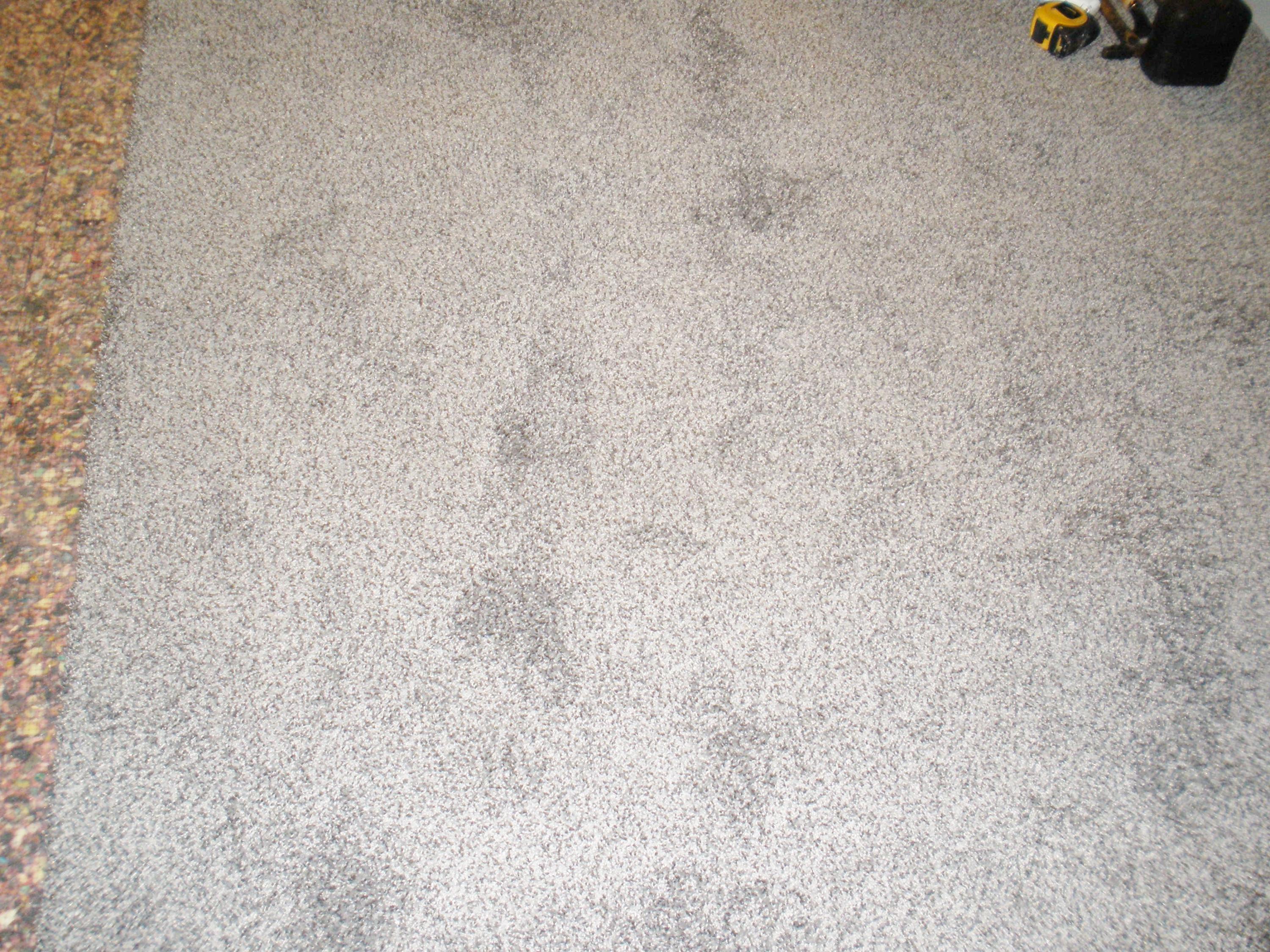 6712 Ridpath Road Grove City, OH 43123 - Photo 28 of 47 New Carpet in the Basement 3/17/2016