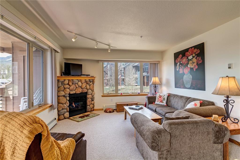 95500 Ryan Gulch Road, Unit 524 Silverthorne, CO 80498 - Photo 3 of 21