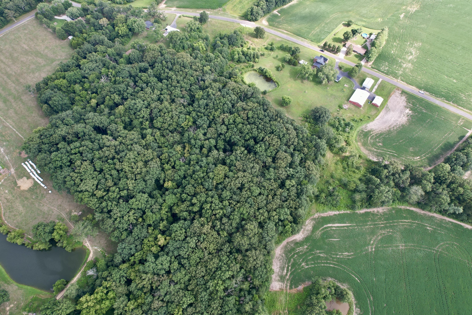 2301 Bundyville Road Walnut Hill, IL 62893 - Photo 46 of 66 Gallery Image 46
