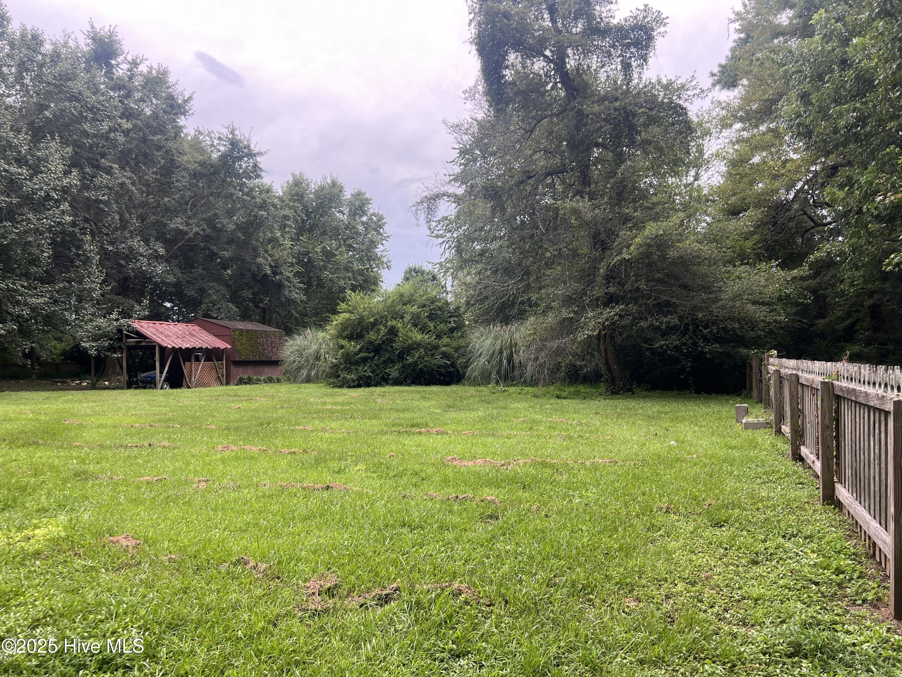 1413 Bud Hawkins Road Dunn, NC 28334 - Photo 44 of 56 Spacious yard and fencing is a plus here.