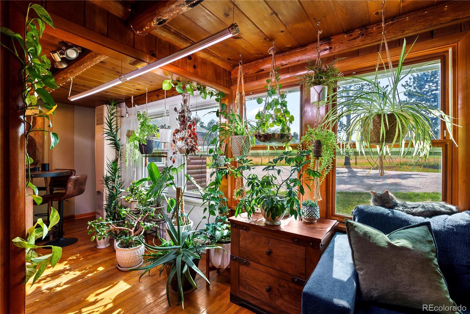 21852 Pleasant Park Road Conifer, CO 80433 - Photo 12 of 47 a outdoor living space with patio furniture