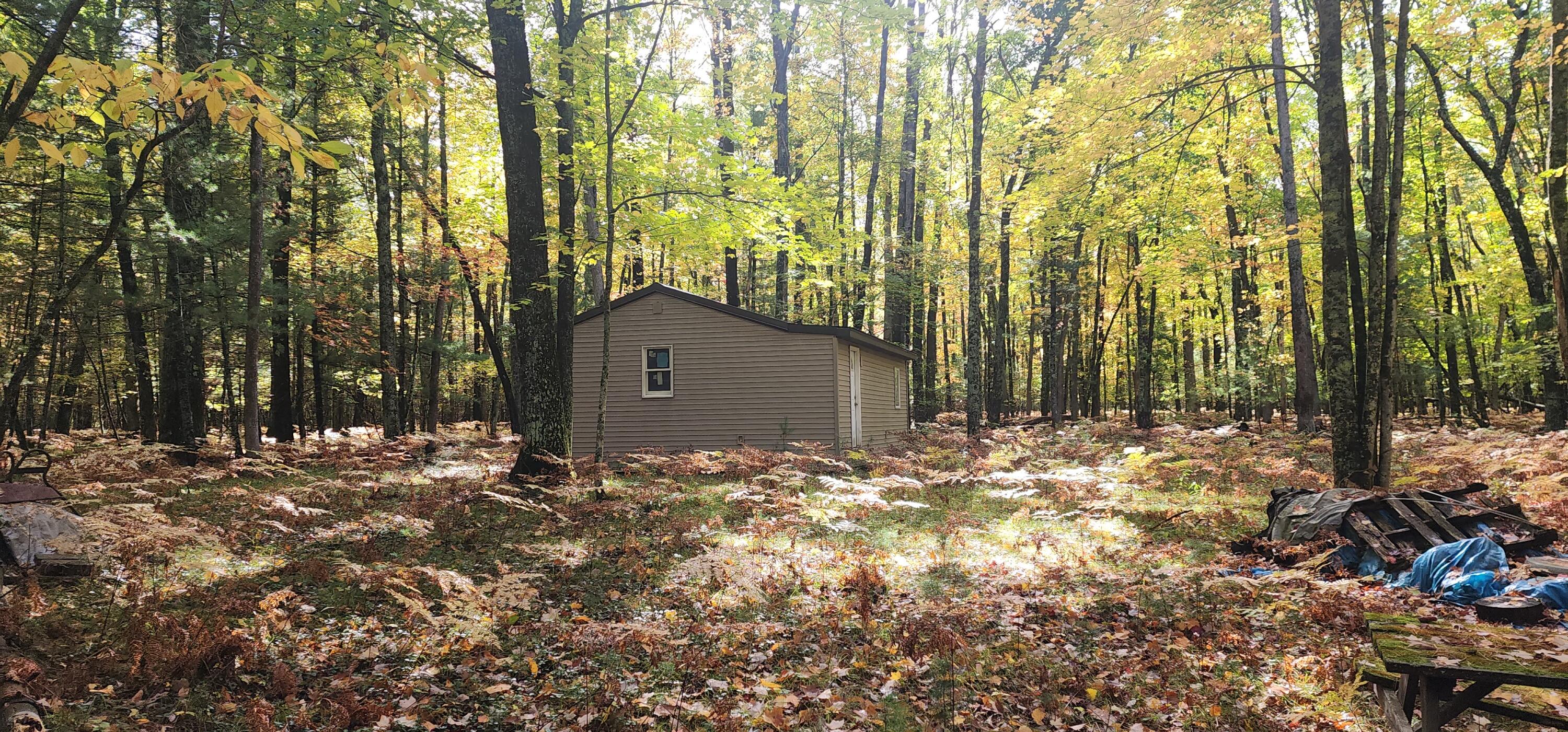 5867 West 9 Mile Road Irons, MI 49644 - Photo 2 of 22 20231014_130839