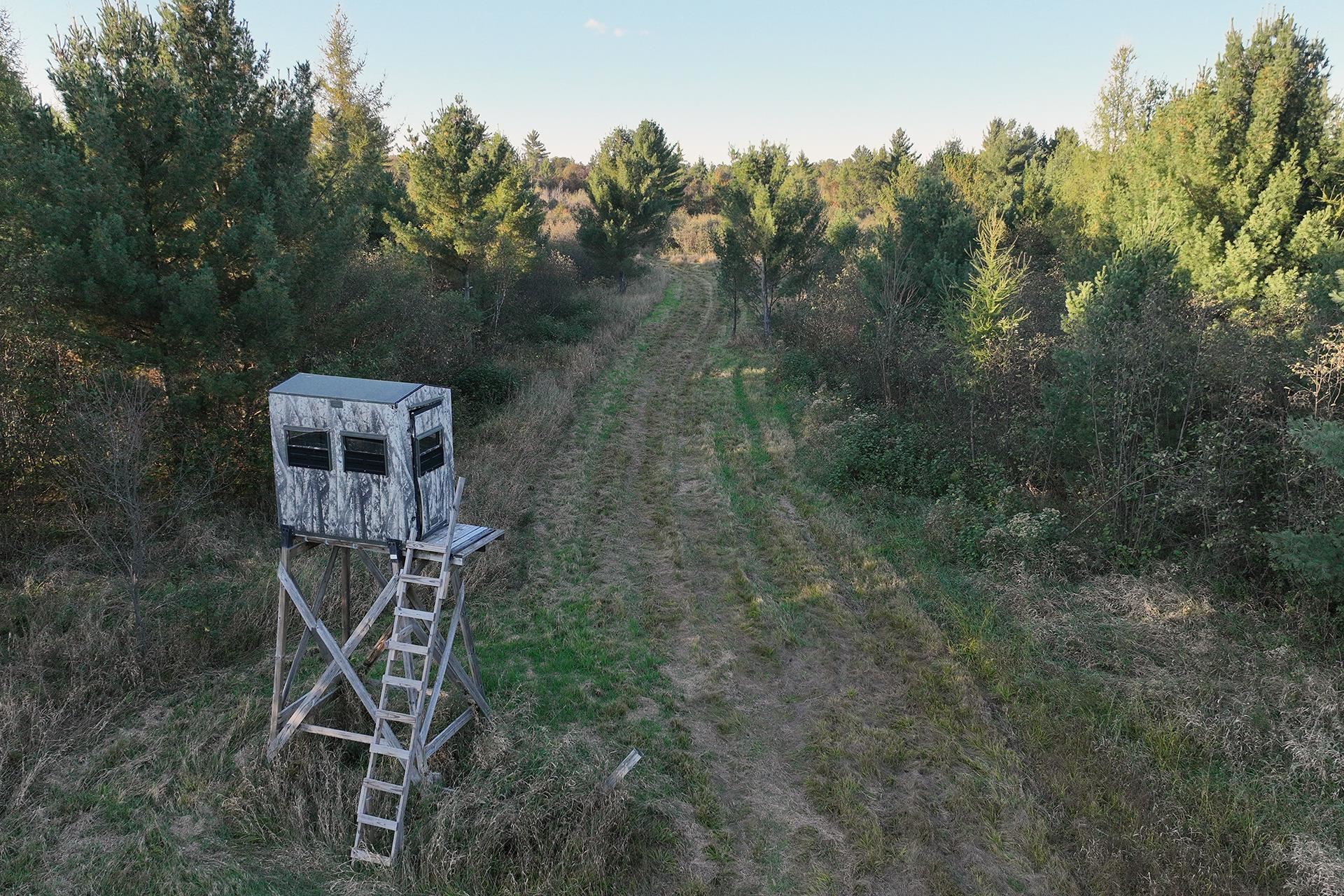 81-acres Anderson Road Neillsville, WI 54456 - Photo 22 of 38