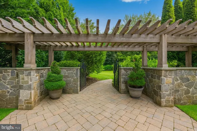 a view of a backyard with plants