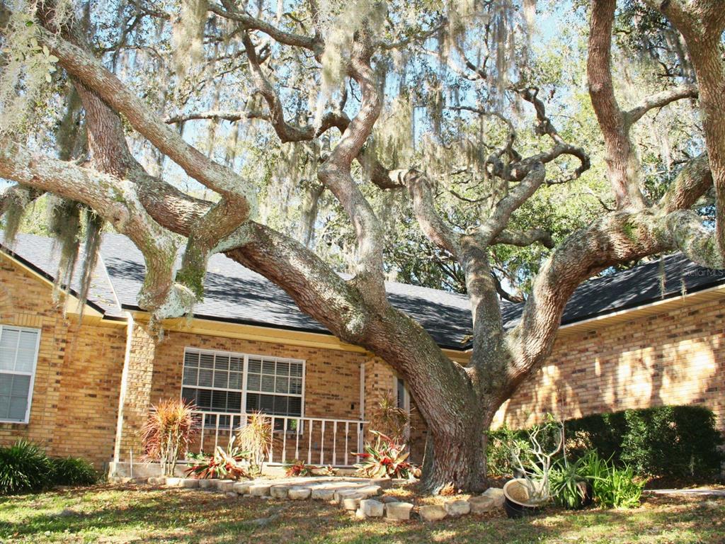 130 Wood Ridge Trail Sanford, FL 32771 - Photo 3 of 41