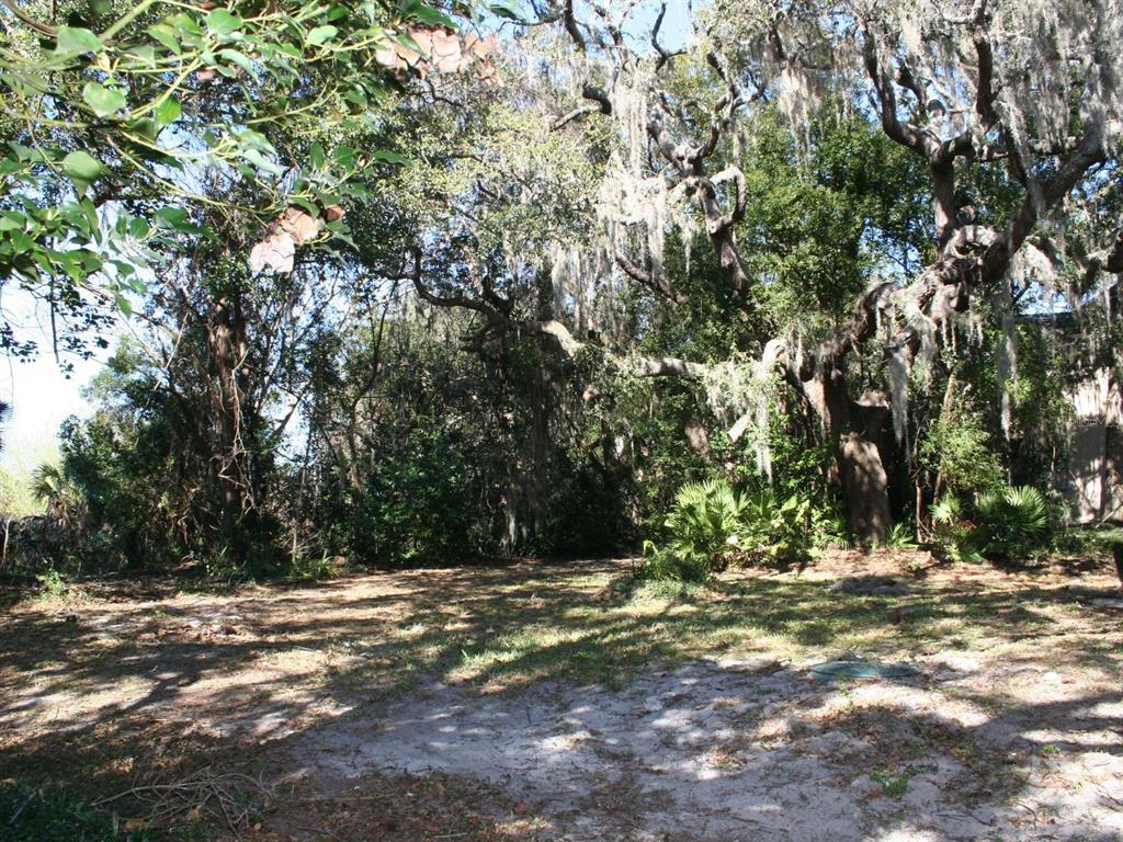 130 Wood Ridge Trail Sanford, FL 32771 - Photo 36 of 41