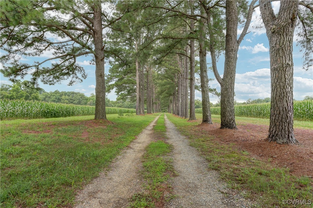 23390 Mt Cloud Road Bowling Green, VA 22427 - Photo 3 of 50 a view of a park with large trees