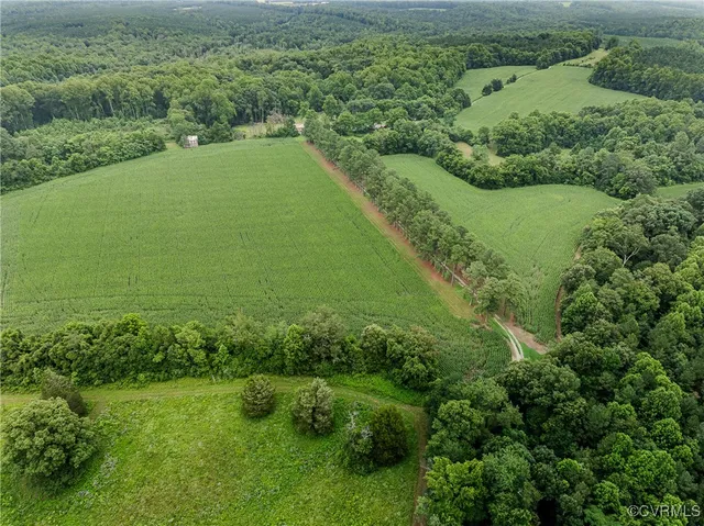 a view of a green field with lots of green space