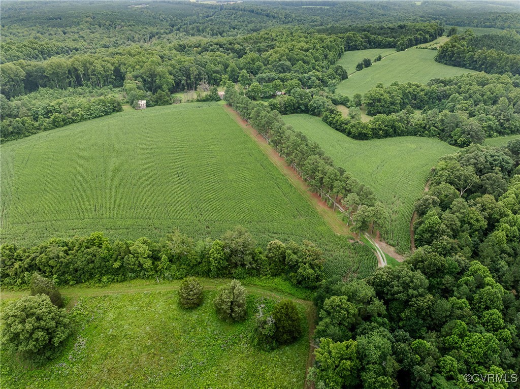 23390 Mt Cloud Road Bowling Green, VA 22427 - Photo 39 of 50 a view of a green field with lots of green space