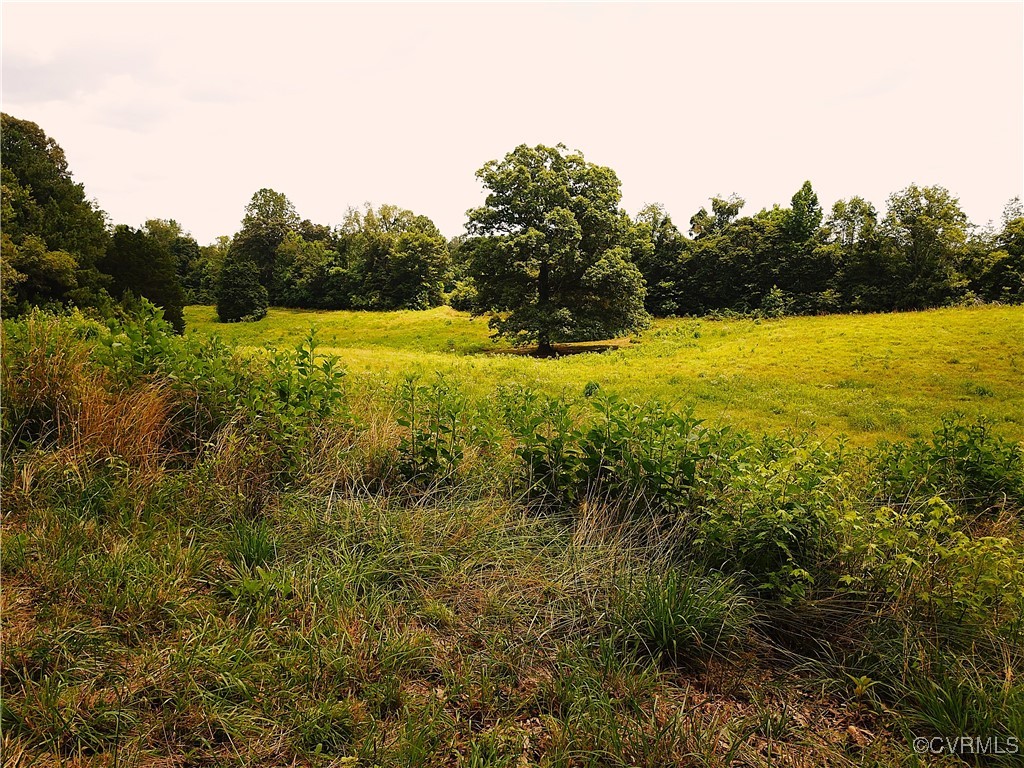 23390 Mt Cloud Road Bowling Green, VA 22427 - Photo 40 of 50 a view of yard with swimming pool and green space