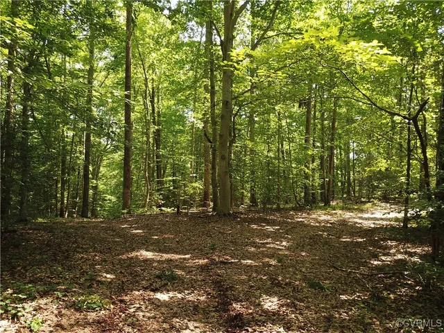 a view of outdoor space with trees