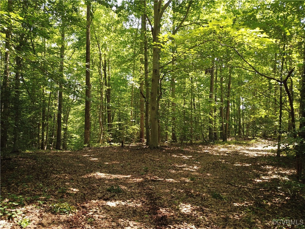 23390 Mt Cloud Road Bowling Green, VA 22427 - Photo 41 of 50 a view of outdoor space with trees
