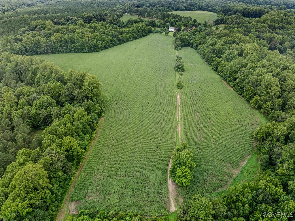 23390 Mt Cloud Road Bowling Green, VA 22427 - Photo 42 of 50 an aerial view of a residential houses with outdoor space and trees