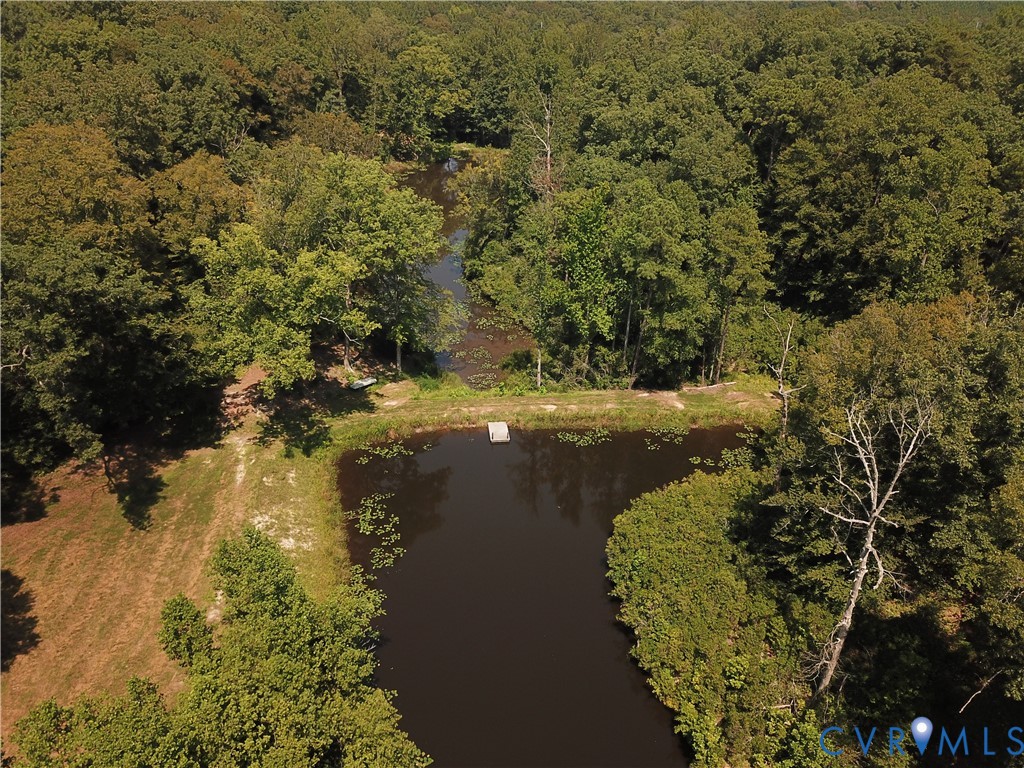 23390 Mt Cloud Road Bowling Green, VA 22427 - Photo 43 of 50