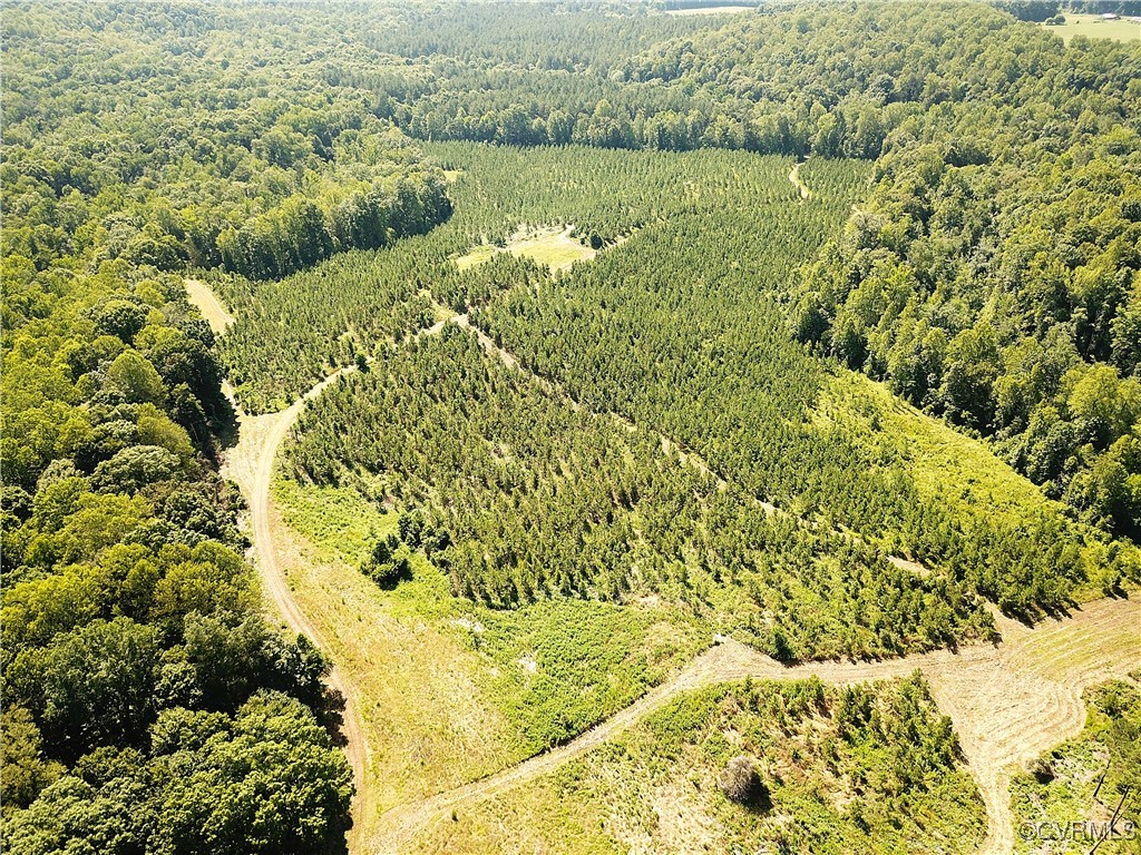 23390 Mt Cloud Road Bowling Green, VA 22427 - Photo 44 of 50 a view of a lake with a mountain