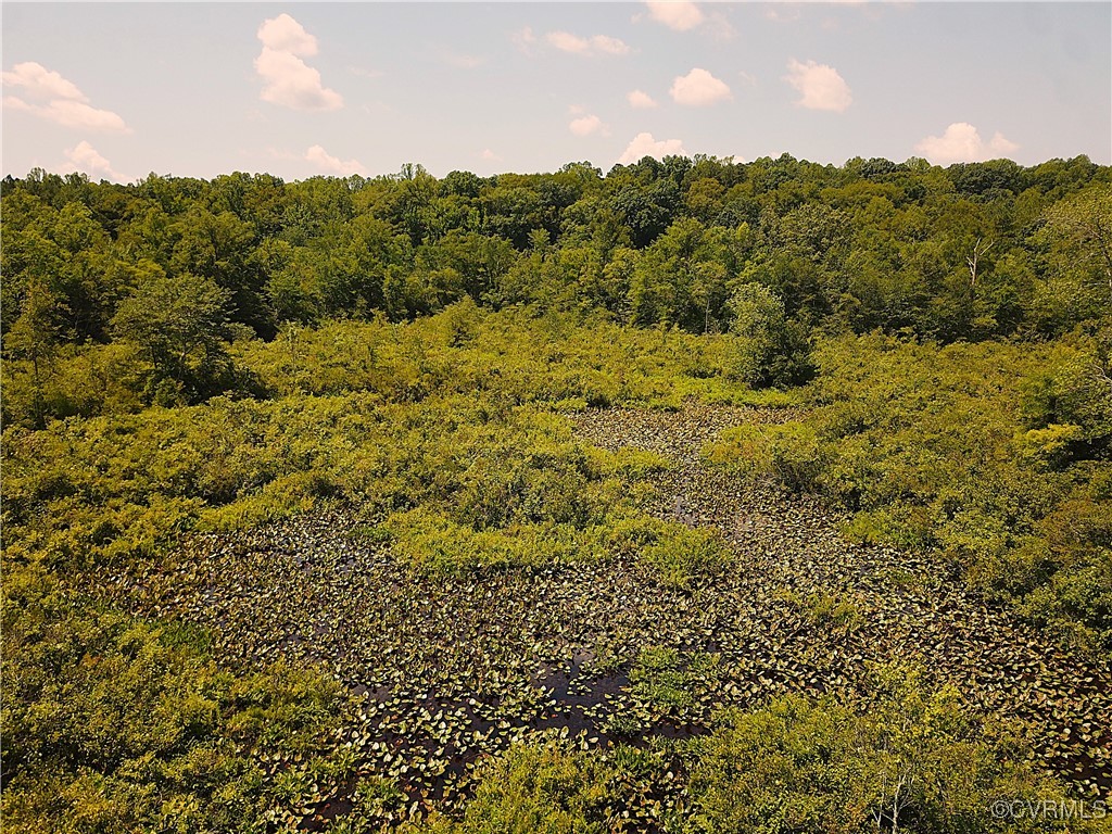 23390 Mt Cloud Road Bowling Green, VA 22427 - Photo 46 of 50 a view of a forest with a houses