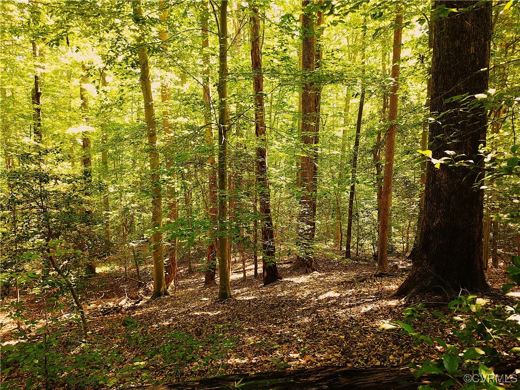 23390 Mt Cloud Road Bowling Green, VA 22427 - Photo 47 of 50 a view of outdoor space and yard