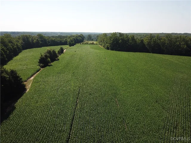 a view of a trees with swimming pool and sitting area