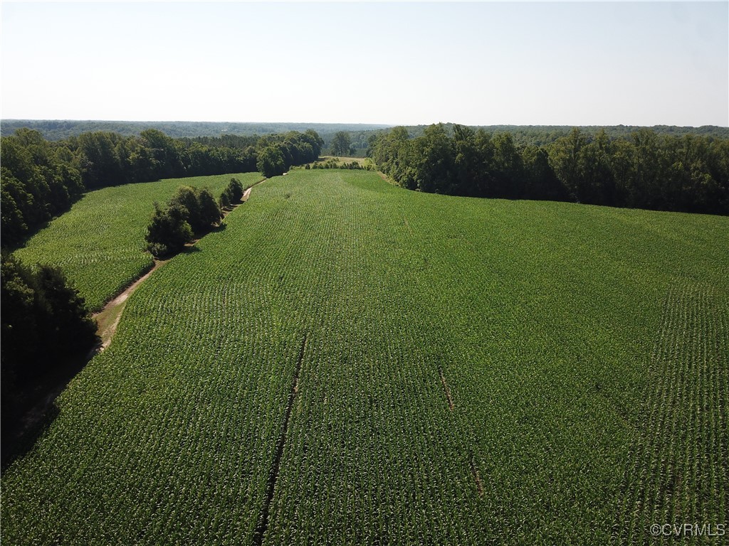 23390 Mt Cloud Road Bowling Green, VA 22427 - Photo 49 of 50 a view of a back yard