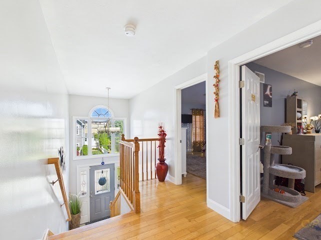 19 Abington Lane Fall River, MA 02721 - Photo 22 of 36