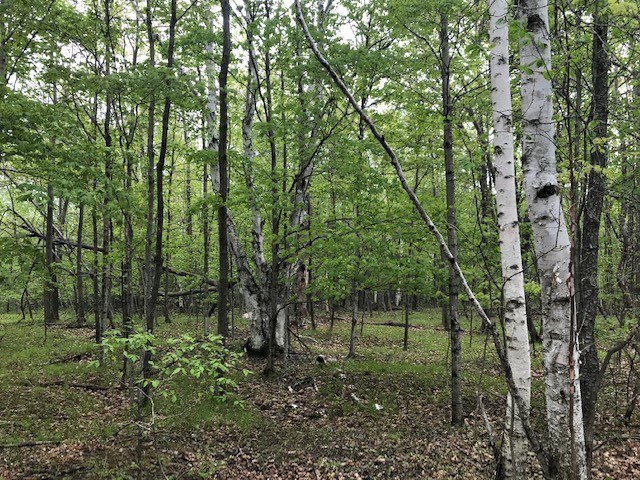 Island View Road Fish Creek, WI 54212 - Photo 2 of 13