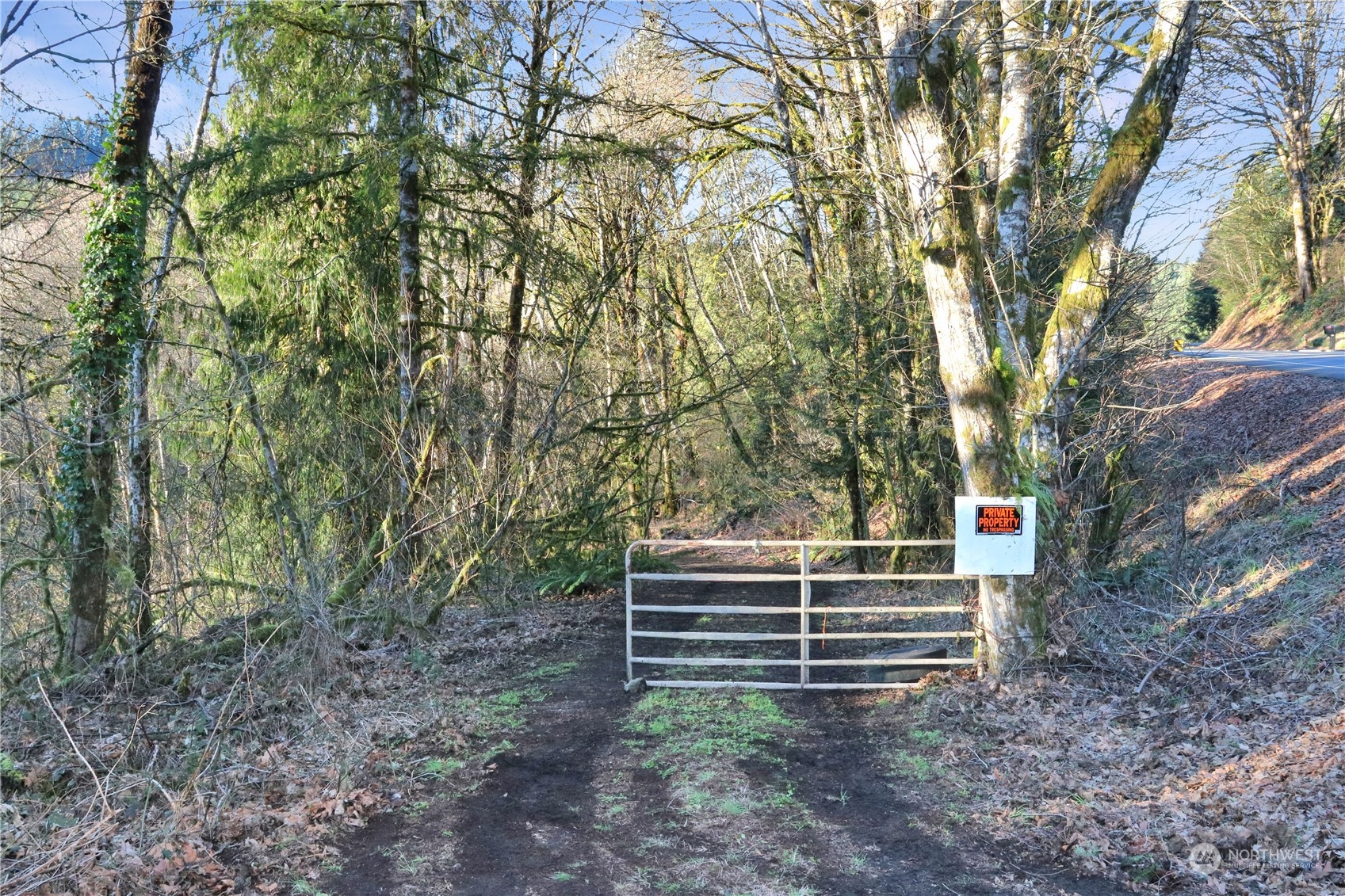 4 Coal Creek Road Longview, WA 98632 - Photo 2 of 19 a view of backyard with trees