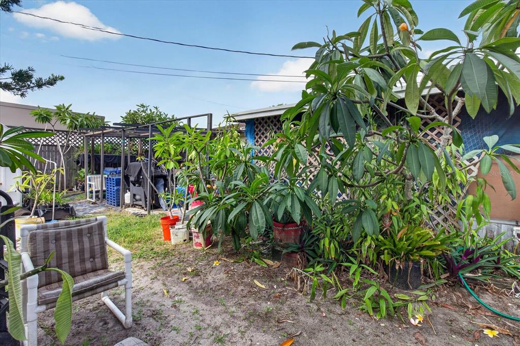 4448 Terry Loop New Port Richey, FL 34652 - Photo 50 of 54 Gallery Image 50