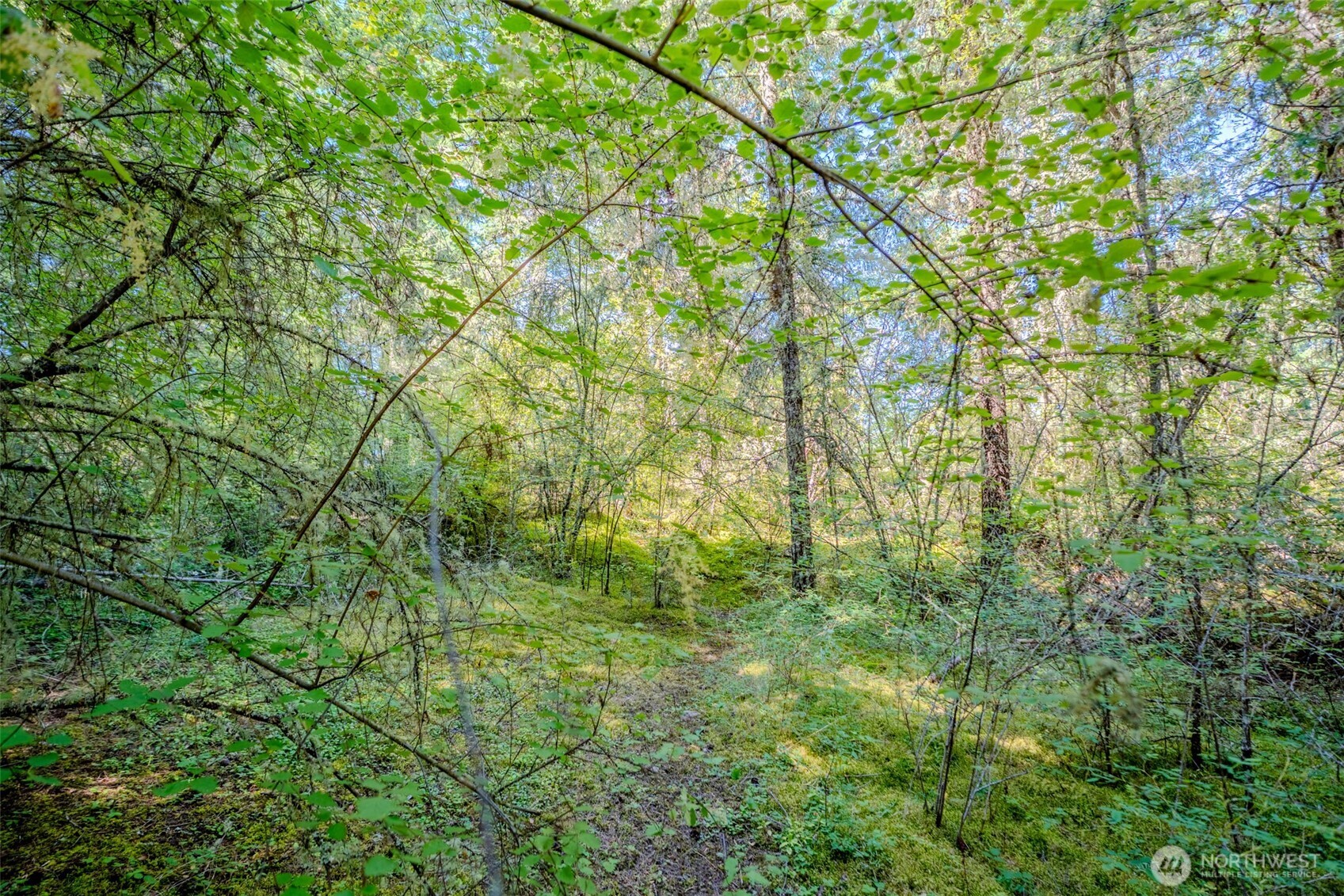 678 Swan Road Orcas Island, WA 98245 - Photo 21 of 39
